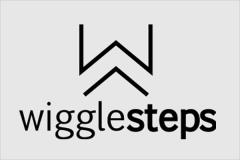 WIGGLESTEPS bunte Socken Damen & Herren